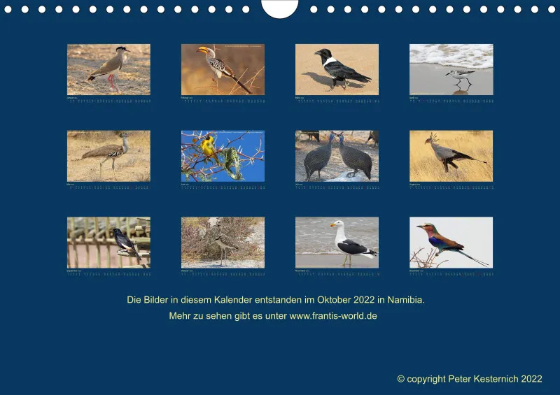 Birdwatching - Namibia - klein
