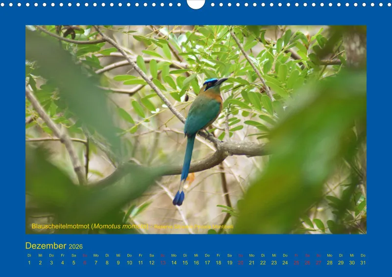 Birdwatching - Nicaragua
