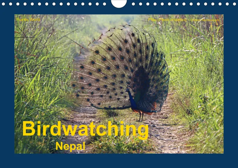 Birdwatching - Nepal