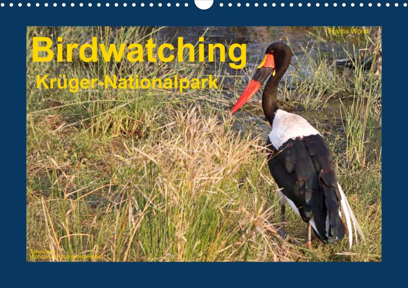 Birdwatching - Krüger-Nationalpark