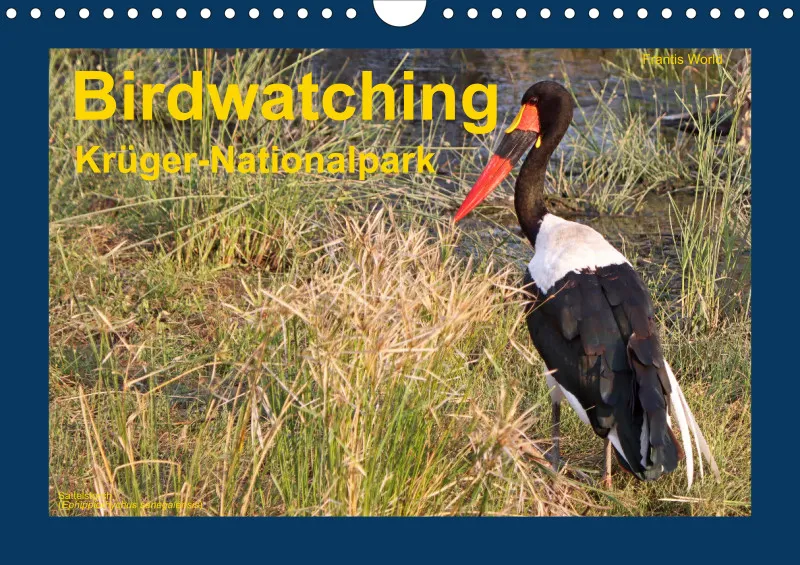 Birdwatching - Krüger-Nationalpark - klein