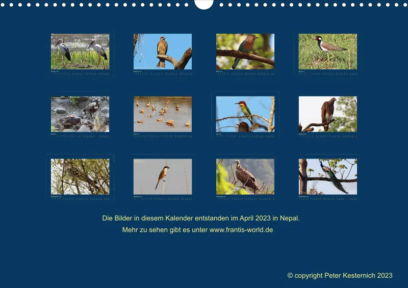 Birdwatching - Nepal
