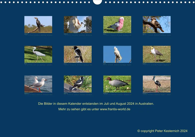 Birdwatching - Australien - Große Vögel