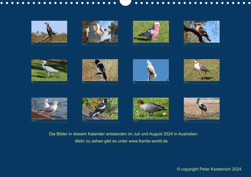 Birdwatching - Australien - Große Vögel