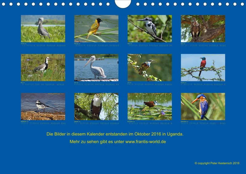 Birdwatching - Uganda - klein