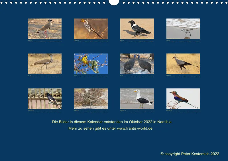 Birdwatching - Namibia