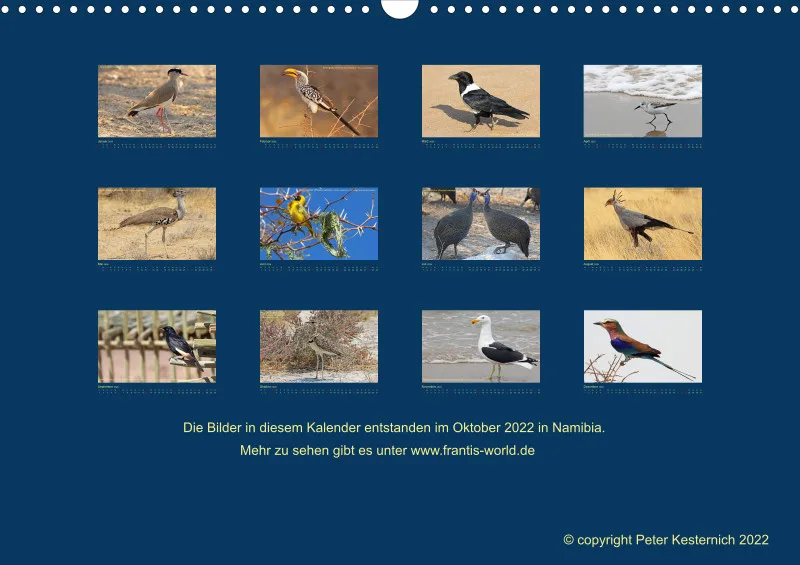 Birdwatching - Namibia