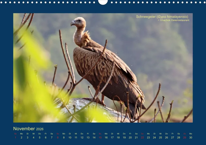 Birdwatching - Nepal