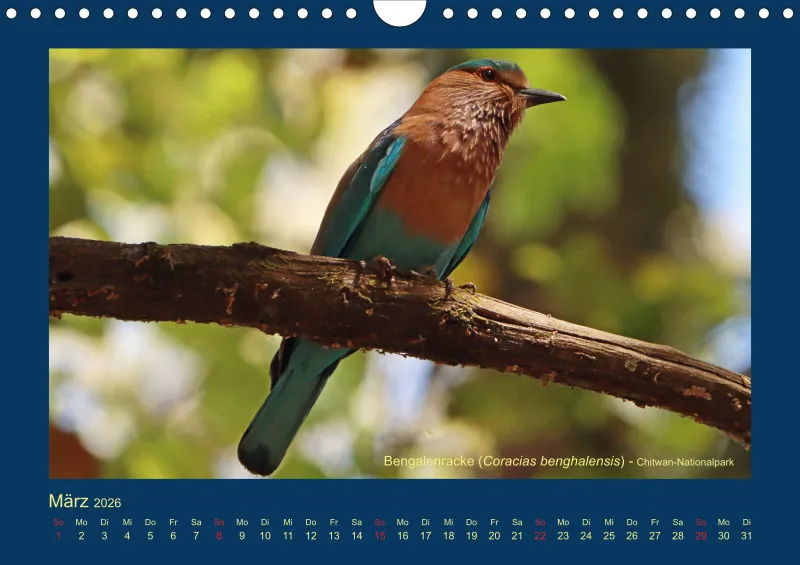 Birdwatching - Nepal
