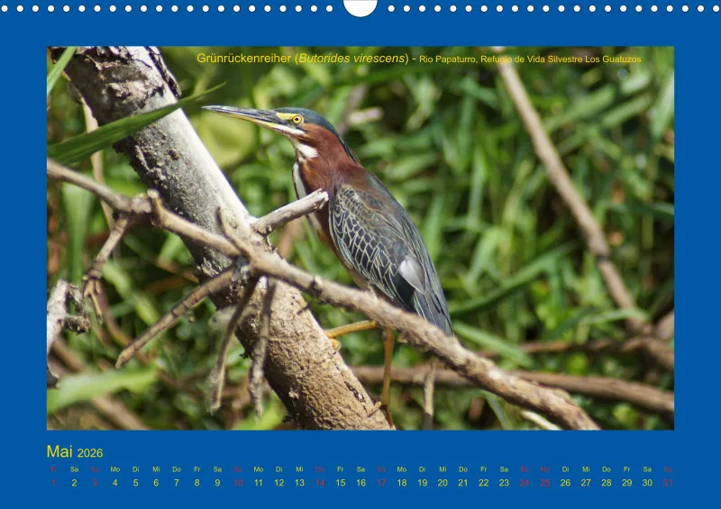 Birdwatching - Nicaragua