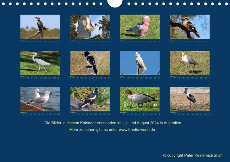 Birdwatching - Australien - Große Vögel - klein
