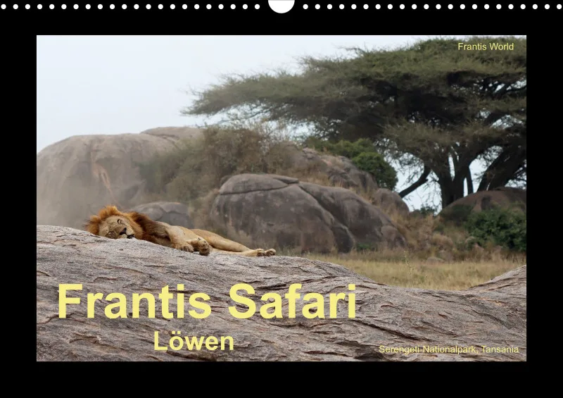 Frantis Safari - Löwen