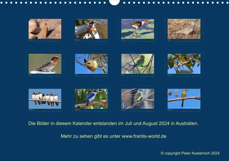 Birdwatching - Australien - Kleine Vögel