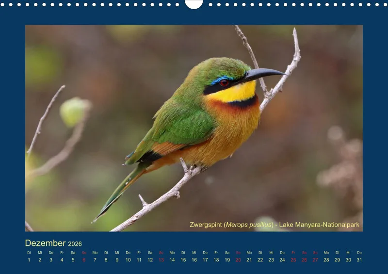 Birdwatching - Tansania