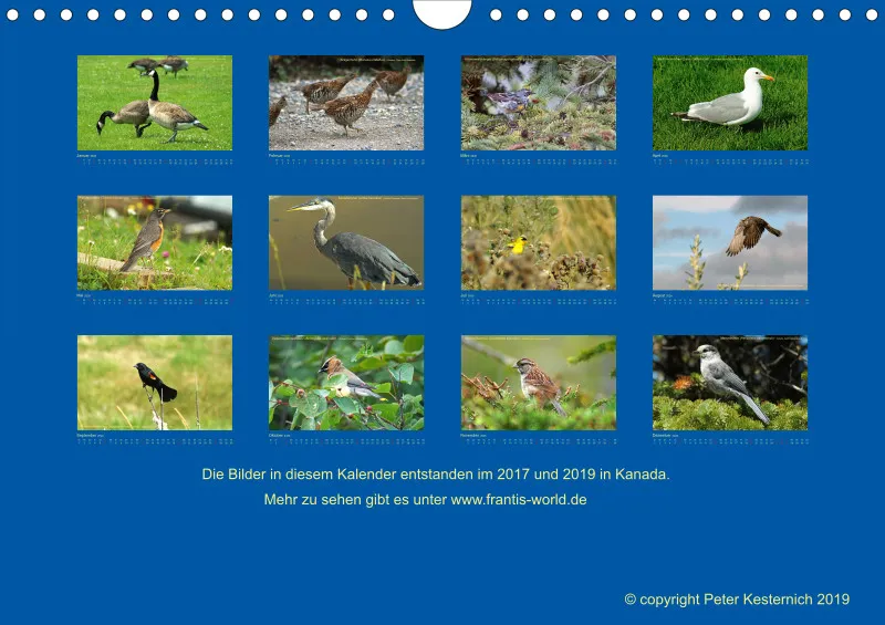 Birdwatching - Kanada - klein