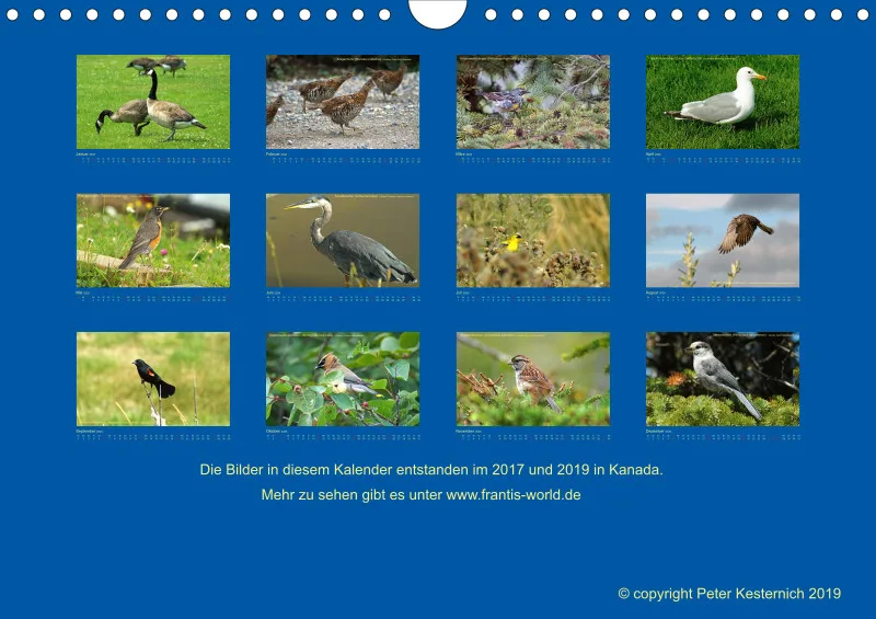 Birdwatching - Kanada - klein