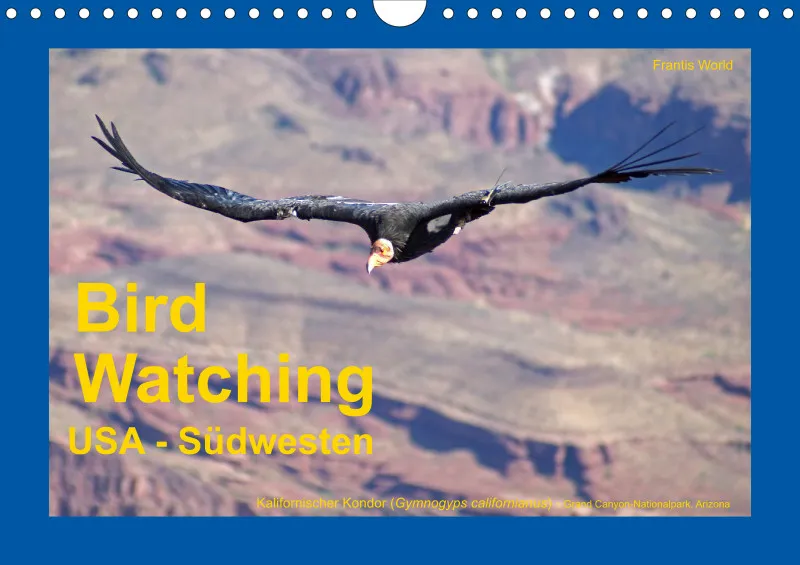 Birdwatching - USA - Südwesten - klein
