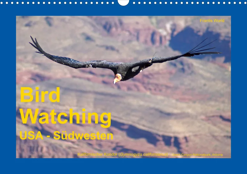 Birdwatching - USA - Südwesten