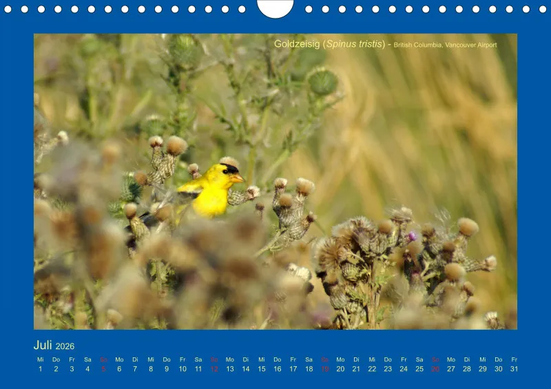 Birdwatching - Kanada - klein