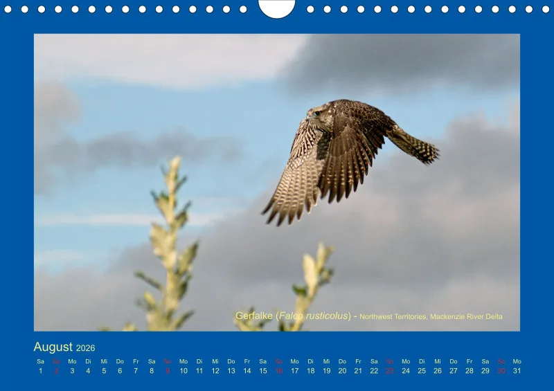 Birdwatching - Kanada - klein