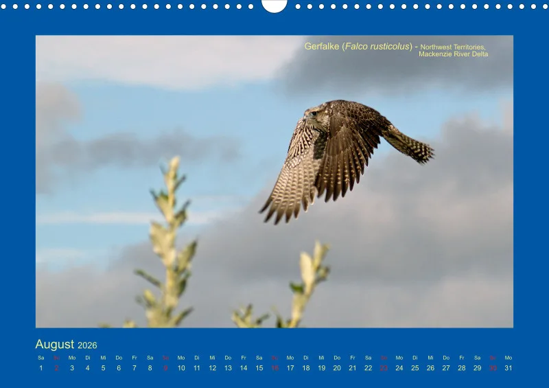 Birdwatching - Kanada