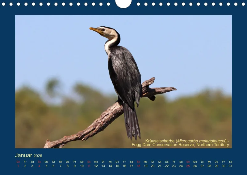 Birdwatching - Australien - Große Vögel - klein