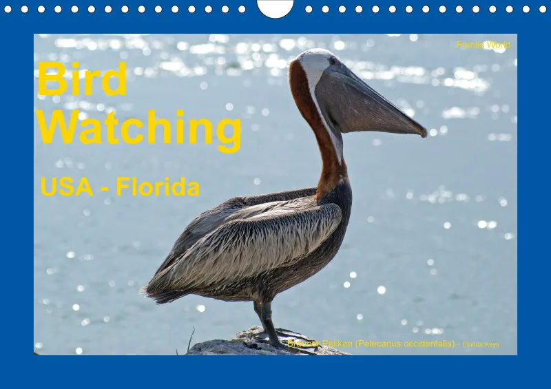 Birdwatching - USA - Florida - klein