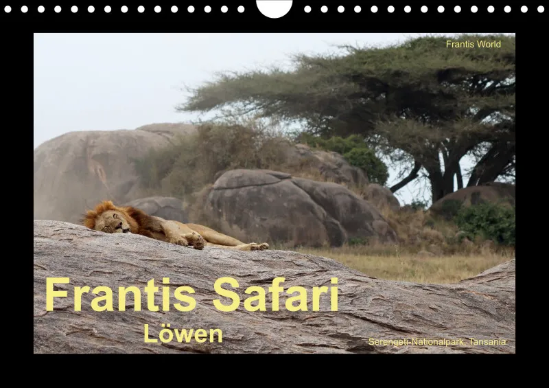 Frantis Safari - Löwen - klein