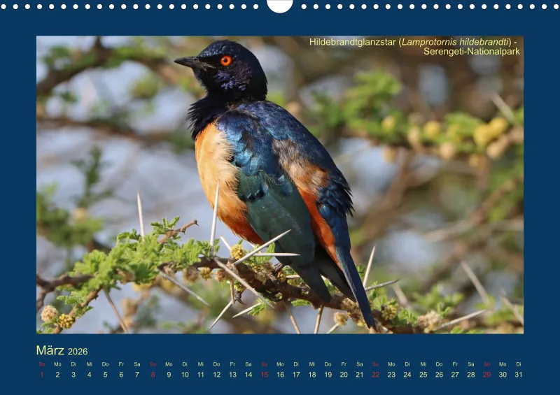 Birdwatching - Tansania