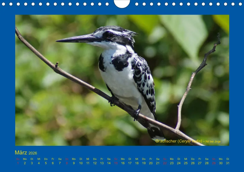 Birdwatching - Uganda - klein