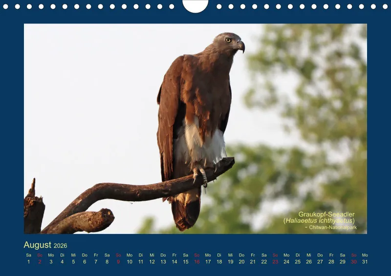 Birdwatching - Nepal