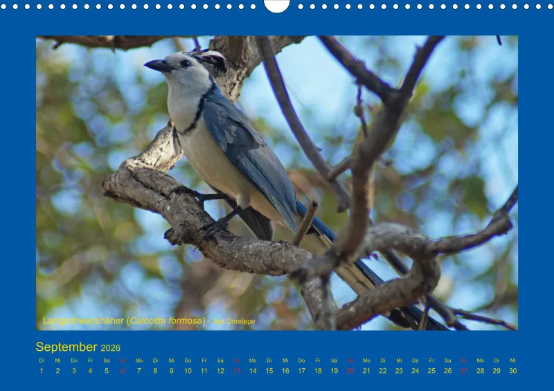 Birdwatching - Nicaragua