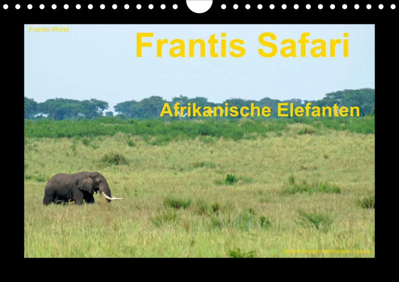 Frantis Safari - Afrikanische Elefanten - klein