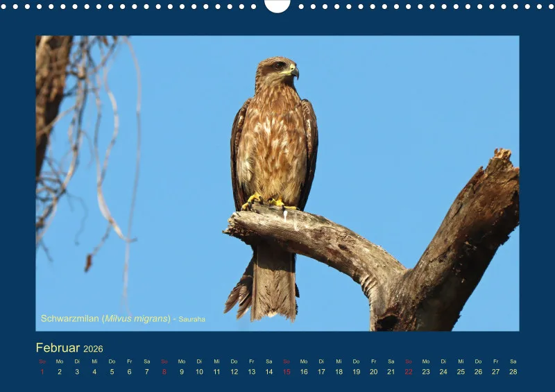 Birdwatching - Nepal