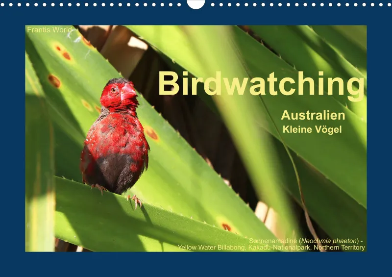 Birdwatching - Australien - Kleine Vögel