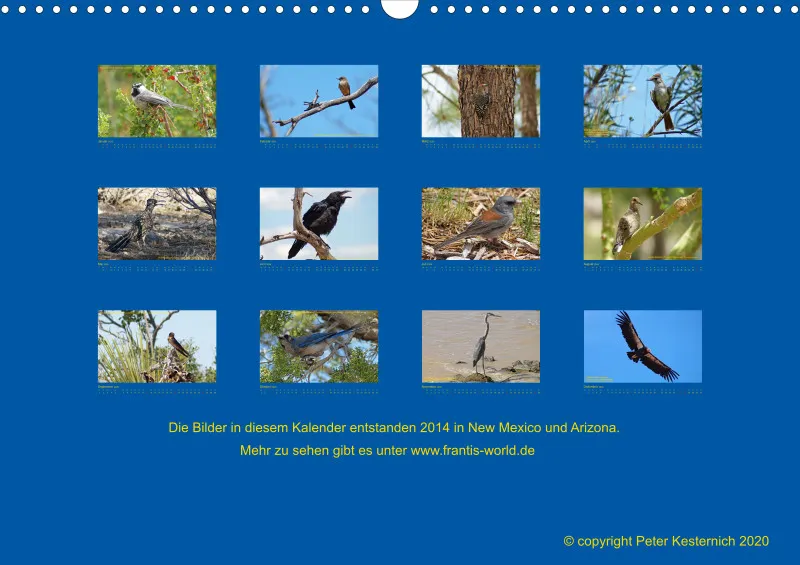 Birdwatching - USA - Südwesten