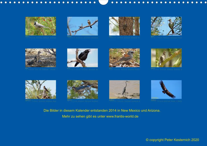 Birdwatching - USA - Südwesten