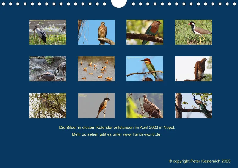 Birdwatching - Nepal