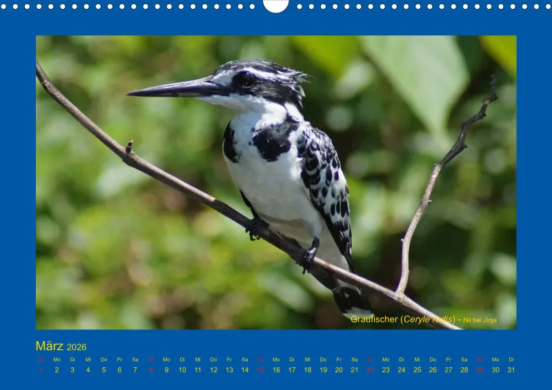 Birdwatching - Uganda