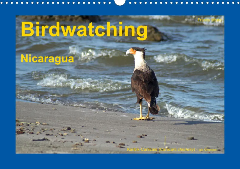 Birdwatching - Nicaragua