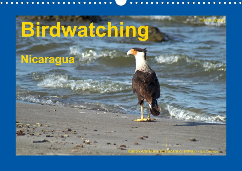 Birdwatching - Nicaragua