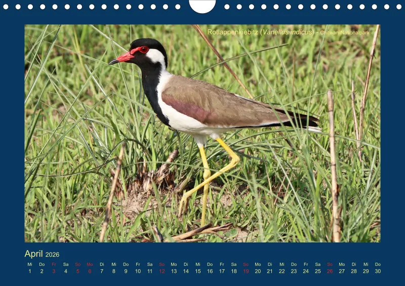 Birdwatching - Nepal