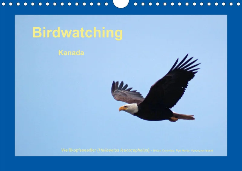 Birdwatching - Kanada - klein