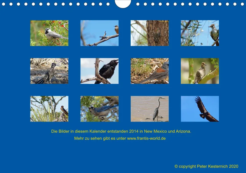 Birdwatching - USA - Südwesten - klein