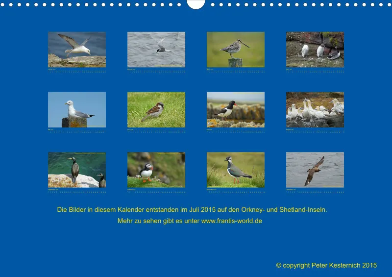 Birdwatching - Orkney- und Shetlandinseln