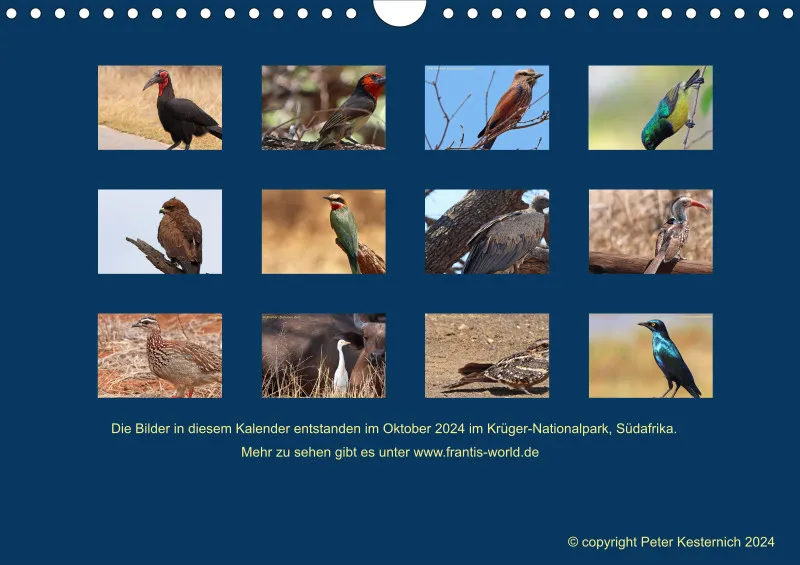 Birdwatching - Krüger-Nationalpark - klein