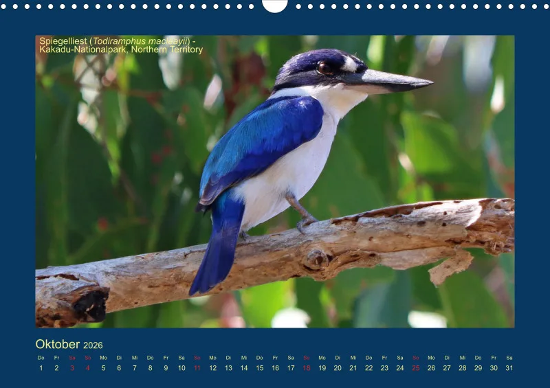 Birdwatching - Australien - Kleine Vögel