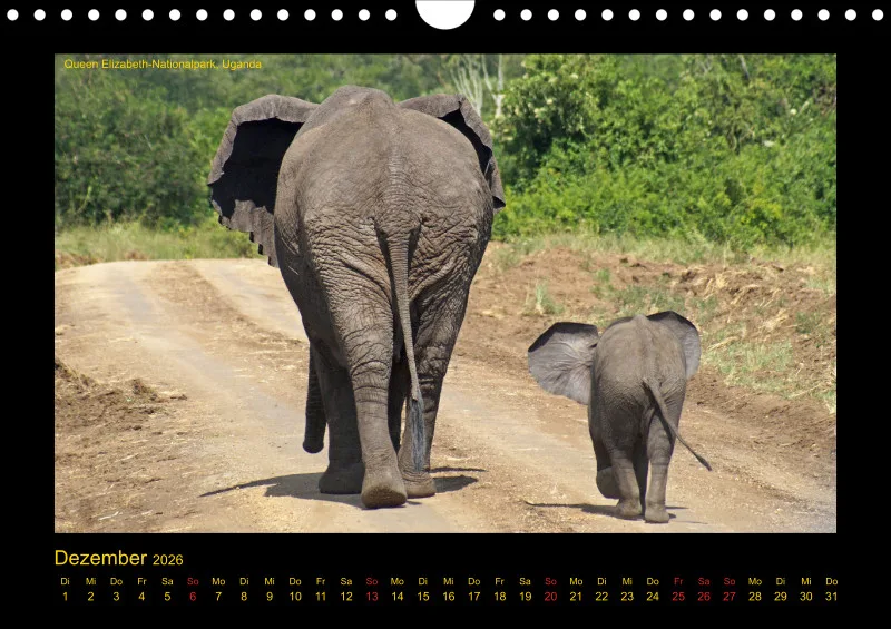 Frantis Safari - Afrikanische Elefanten - klein
