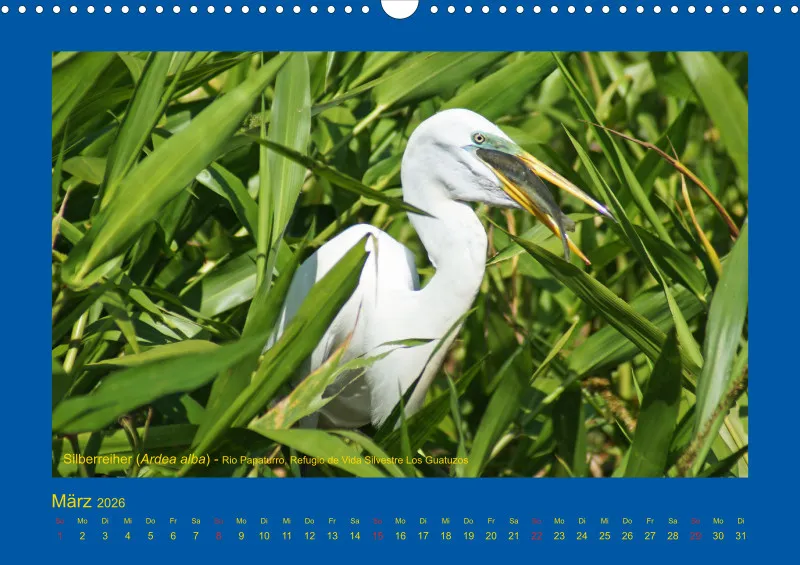 Birdwatching - Nicaragua