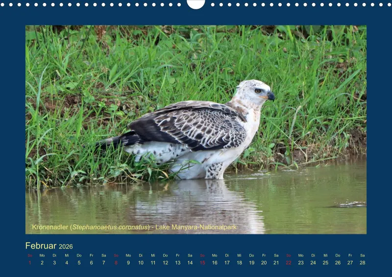 Birdwatching - Tansania